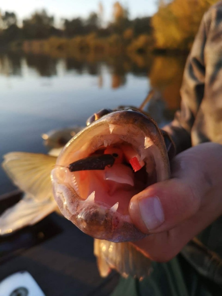 Ловля судака ранней весной в реке (5).jpg